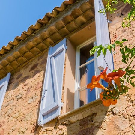 Chateau Des Bertrands Le Cannet-des-Maures Dış mekan fotoğraf